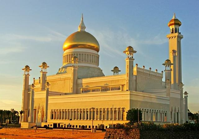 看完吴尊的人生简史，这家族底子够厚的，想不成功太难