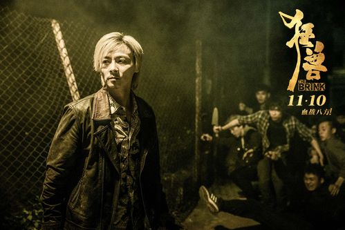 狂兽张晋动作片在线观看 高清正版平台推荐